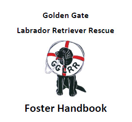 GGLRR Foster Handbook