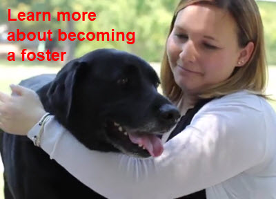 Learn more about becoming a foster parent
