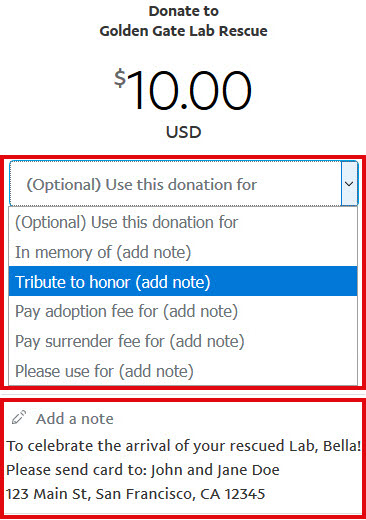 donation designation example